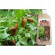 Гел Bio Plantella, против охлюви, 1 л. Гел Bio Plantella, против охлюви, 1 л.