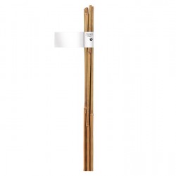 Колове Nortene  Plain Bamboo Cane 1.8 м. бамбук 140835 - Инструменти, Аксесоари за градината