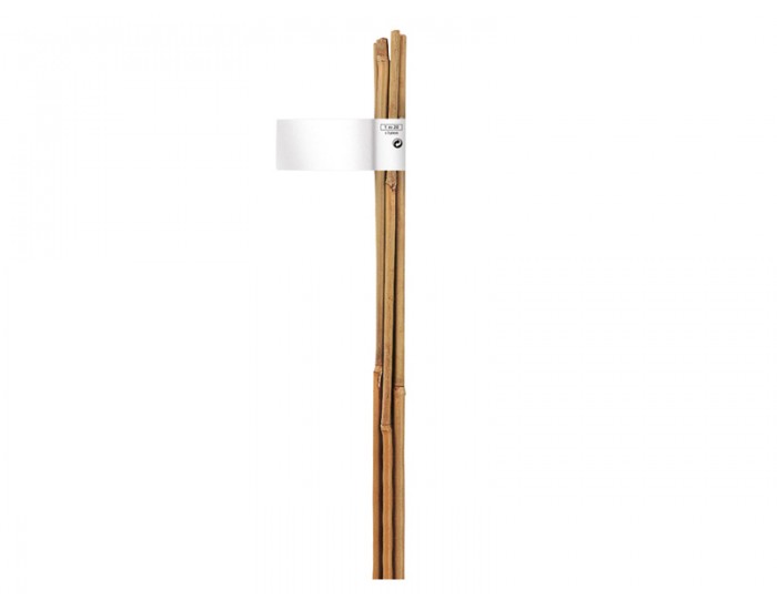 Колове Nortene Plain Bamboo Cane 2,10 м. бамбук 140836