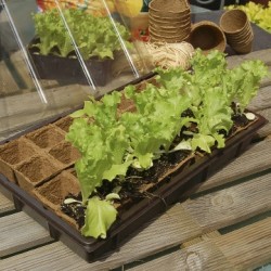 Growing Kit Мини оранжерия Nortene 28 бр на 5x5cm 160008 - Градина