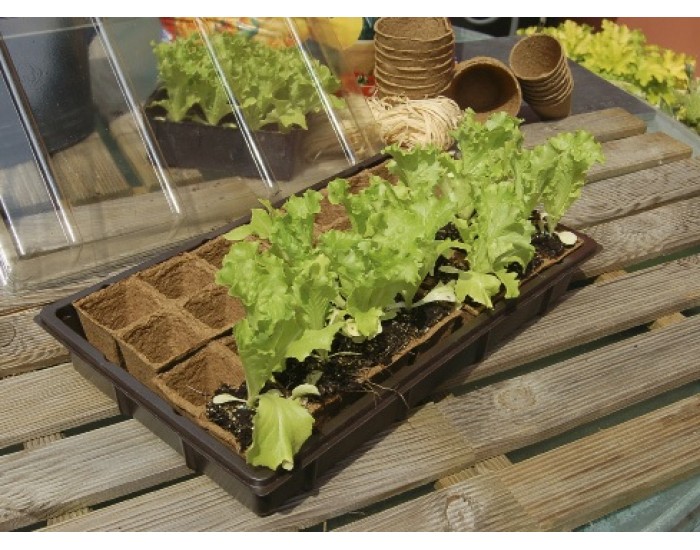 Growing Kit Мини оранжерия Nortene 28 бр на 5x5cm 160008 Growing Kit Мини оранжерия Nortene 28 бр на 5x5cm 160008