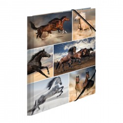 Herma Папка Animals, картонена, с ластик, A4, коне - Herma