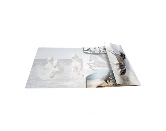 Herma Папка Animals, картонена, с ластик, A4, PP, коне