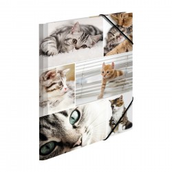 Herma Папка Animals, картонена, с ластик, A4, котки - Herma