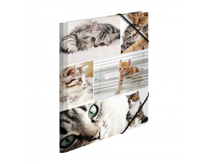 Herma Папка Animals, картонена, с ластик, A4, котки