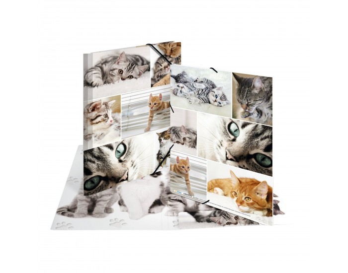 Herma Папка Animals, картонена, с ластик, A4, котки