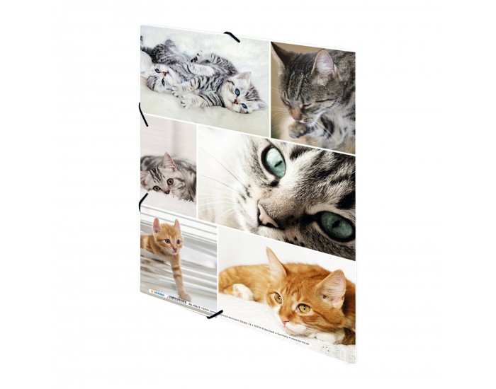 Herma Папка Animals, картонена, с ластик, A4, котки
