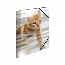 Herma Папка Animals, картонена, с ластик, A4, PP, котки - Herma