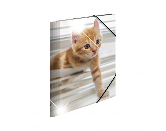 Herma Папка Animals, картонена, с ластик, A4, PP, котки