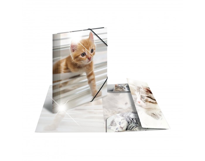 Herma Папка Animals, картонена, с ластик, A4, PP, котки
