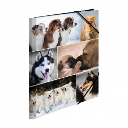Herma Папка Animals, картонена, с ластик, A4, кучета - Herma