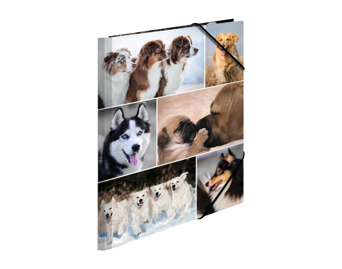 Herma Папка Animals, картонена, с ластик, A4, кучета
