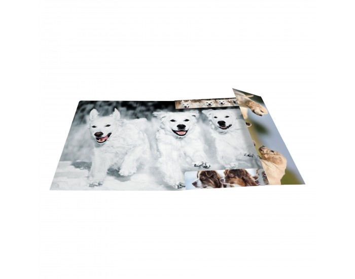Herma Папка Animals, картонена, с ластик, A4, кучета