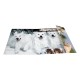 Herma Папка Animals, картонена, с ластик, A4, кучета