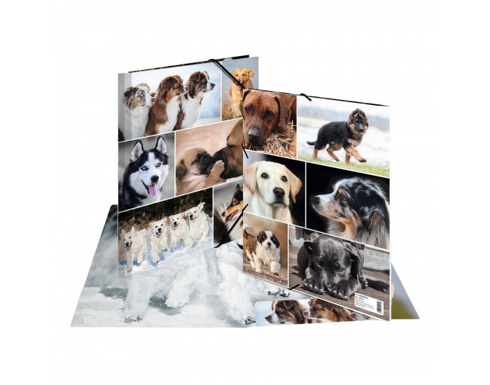 Herma Папка Animals, картонена, с ластик, A4, кучета