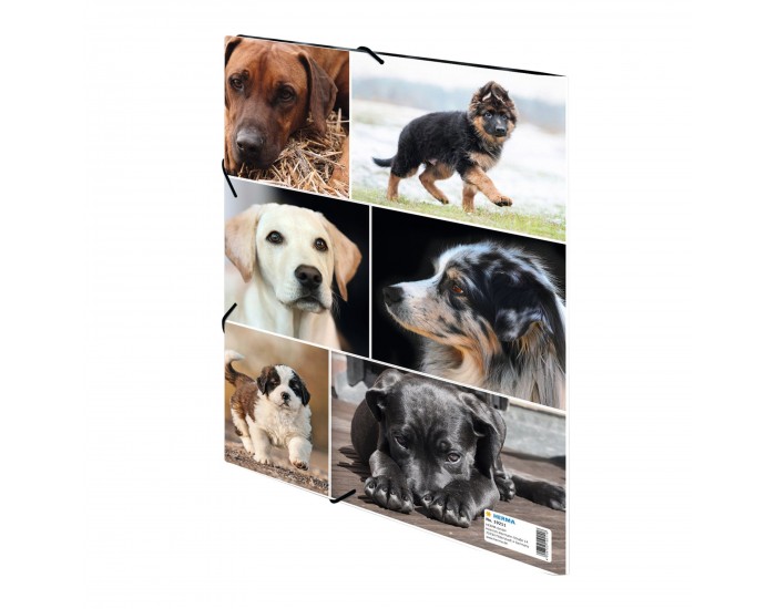Herma Папка Animals, картонена, с ластик, A4, кучета