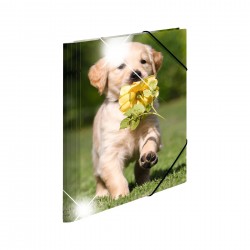 Herma Папка Animals, картонена, с ластик, A4, PP, кучета - Herma