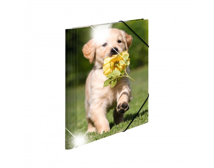 Herma Папка Animals, картонена, с ластик, A4, PP, кучета