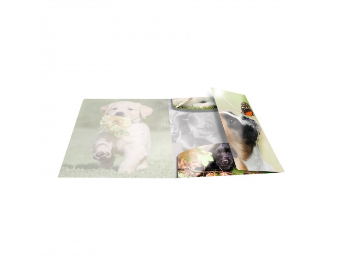 Herma Папка Animals, картонена, с ластик, A4, PP, кучета