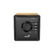 Genius Тонколона SP-916BT, преносима, дървесна