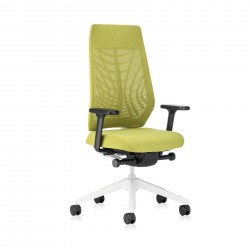 Eргономичен стол Interstuhl Joyce JC267, дамаска и меш, Synchronous механизъм, до 120 kg, светлосив/зелен - Сравняване на продукти