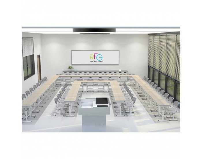 Ергономичен чин и стол RFG Ergo School, от I до XII клас, с регулируема височина, плот светъл бук, сиви крака