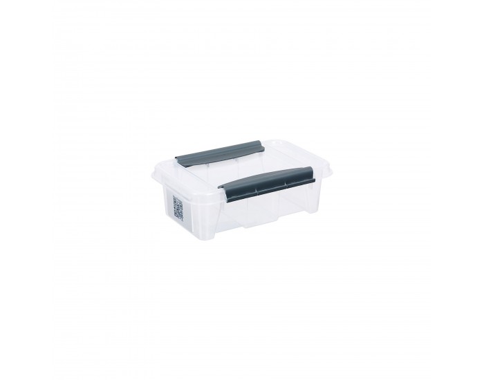 Кутия за съхранение Pro Box, 195 x 290 x 98 mm, 3 L