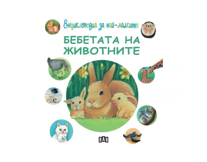 Енциклопедия за най-малките - Бебетата на животните