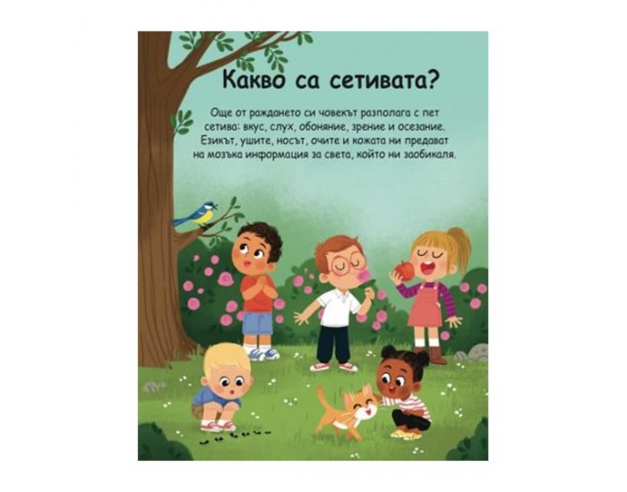 Енциклопедия за най-малките - Петте сетива