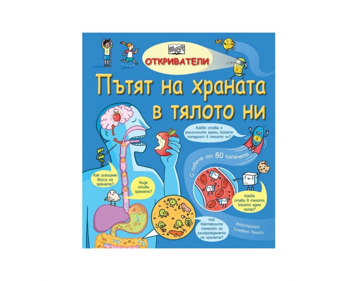Пътят на храната в тялото ни