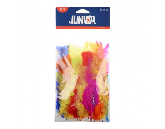 Пера за декорация Junior, цветни, 24 броя