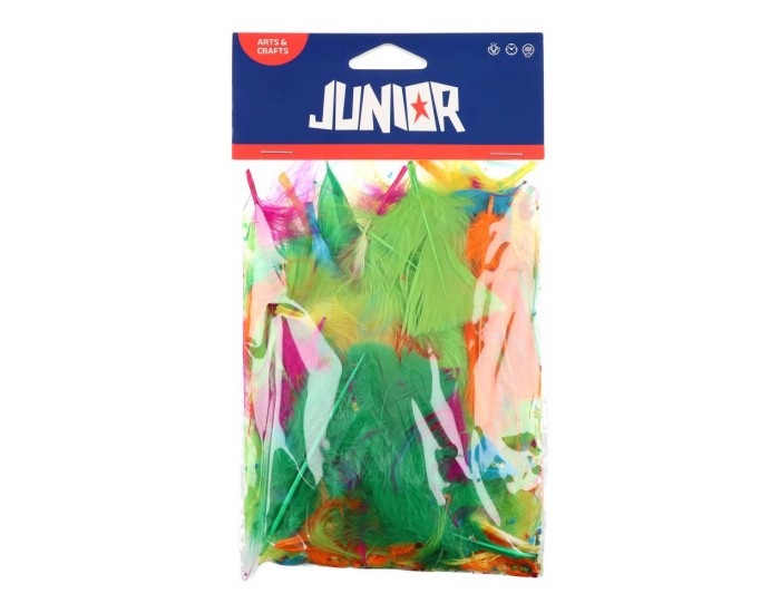 Пера за декорация Junior, мини, 24 броя, микс