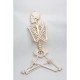 Gelsonlab Човешки скелет, на колела, 180 cm