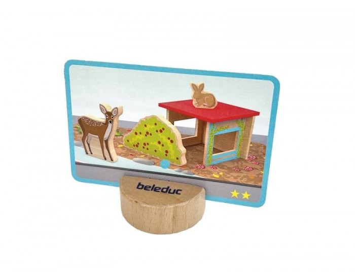 Beleduc Игра за наблюдателност - Намери ни в гората