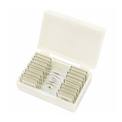 Bresser Микроскопски препарати, 10 броя - Bresser
