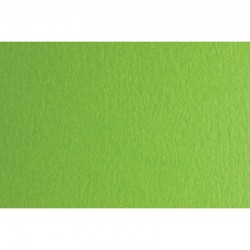 Fabriano Картон Colore, 70 x 100 cm, 140 g/m2, № 230, тревистозелен - Fabriano