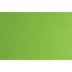 Fabriano Картон Colore, 50 x 70 cm, 140 g/m2, № 230, тревистозелен - Fabriano