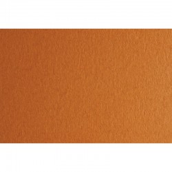 Fabriano Картон Colore, 70 x 100 cm, 140 g/m2, № 223, светлокафяв - Fabriano