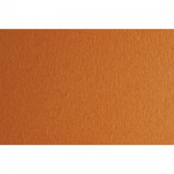 Fabriano Картон Colore, 50 x 70 cm, 140 g/m2, № 223, светлокафяв - Fabriano