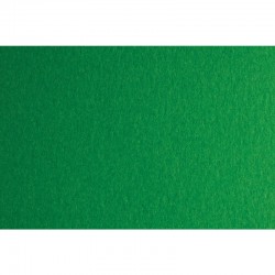 Fabriano Картон Colore, 70 x 100 cm, 140 g/m2, № 231, зелен - Fabriano