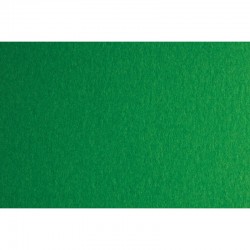 Fabriano Картон Colore, 50 x 70 cm, 140 g/m2, № 231, зелен - Fabriano