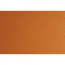 Fabriano Картон Colore, 50 x 70 cm, 200 g/m2, № 223, светлокафяв - Fabriano