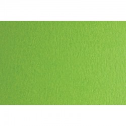 Fabriano Картон Colore, 50 x 70 cm, 200 g/m2, № 230, тревистозелен - Fabriano