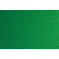 Fabriano Картон Colore, 70 x 100 cm, 200 g/m2, № 231, зелен - Fabriano