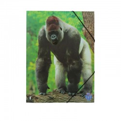 Skag Папка AR, картонена, с ластик, 25 х 35 cm, горила - Skag