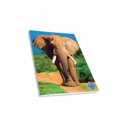 Skag Тетрадка Wild Animals AR, спирала, 2 теми, 17 х 25 cm, 60 листа, слон - Канцеларски материали