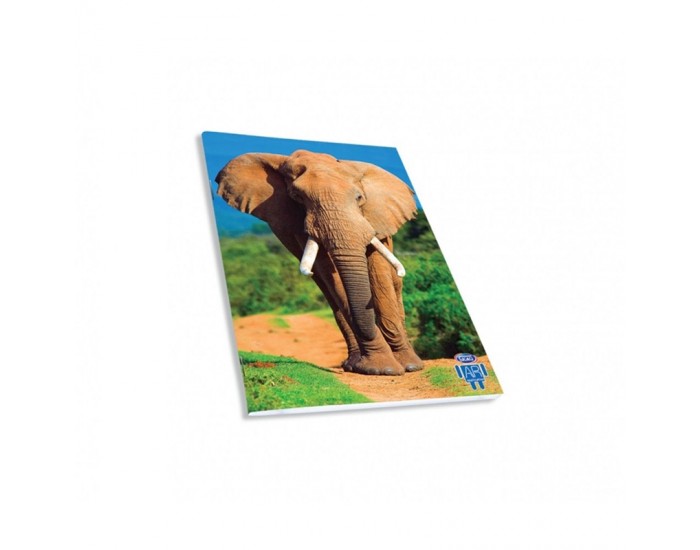 Skag Тетрадка Wild Animals AR, спирала, 2 теми, 17 х 25 cm, 60 листа, слон