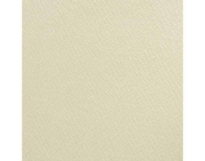 Fabriano Картон Rusticus, акварелен, 70 x 100 cm, 240 g/m2, кремав Fabriano Картон Rusticus, акварелен, 70 x 100 cm, 240 g/m2, кремав