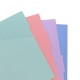 Filofax Разделител за тефтер, A5, 4 цвята