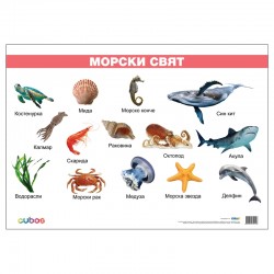 Cubos Ученическо табло ''Морски свят'', ламинирано, 50 x 70 cm, модел 2 - Изкуство и забавление